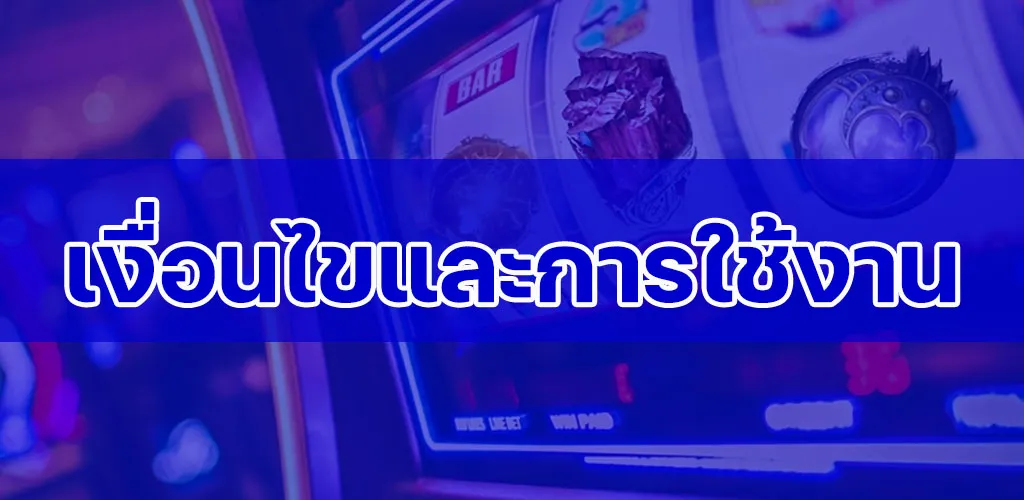เงื่อนไขและการใช้งาน